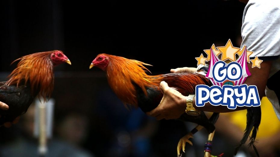 777 taya365 how to place a parlay bet on fanduel